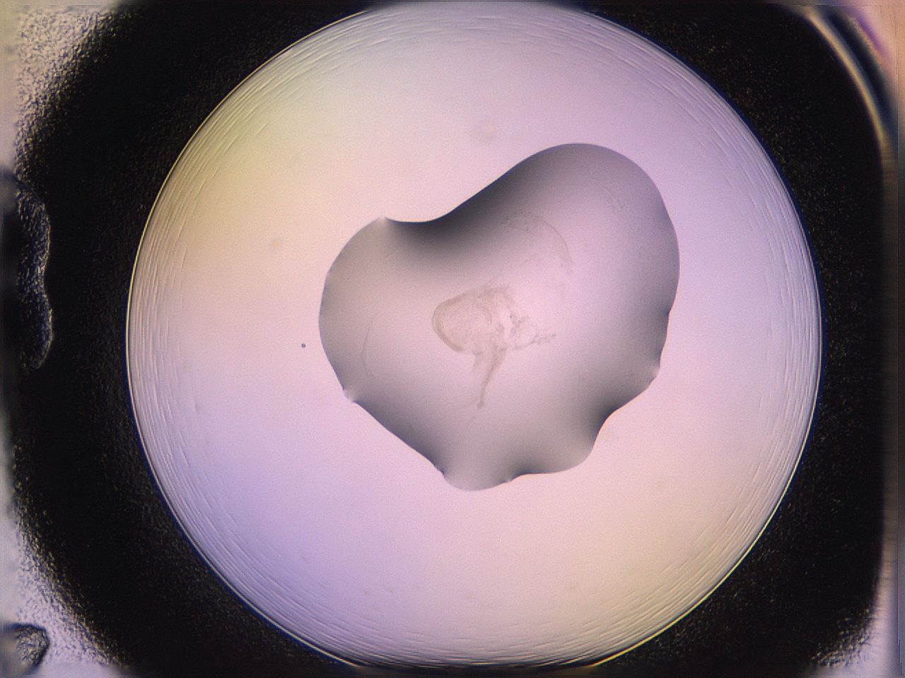 05qk_B7_ImagerDefaults_3.jpg