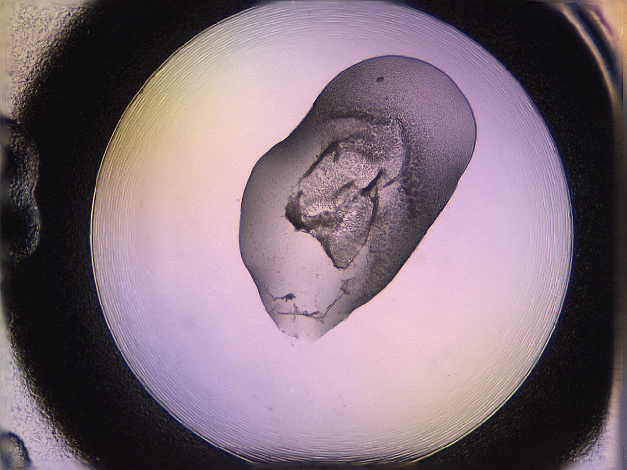 05qk_B8_ImagerDefaults_3.jpg