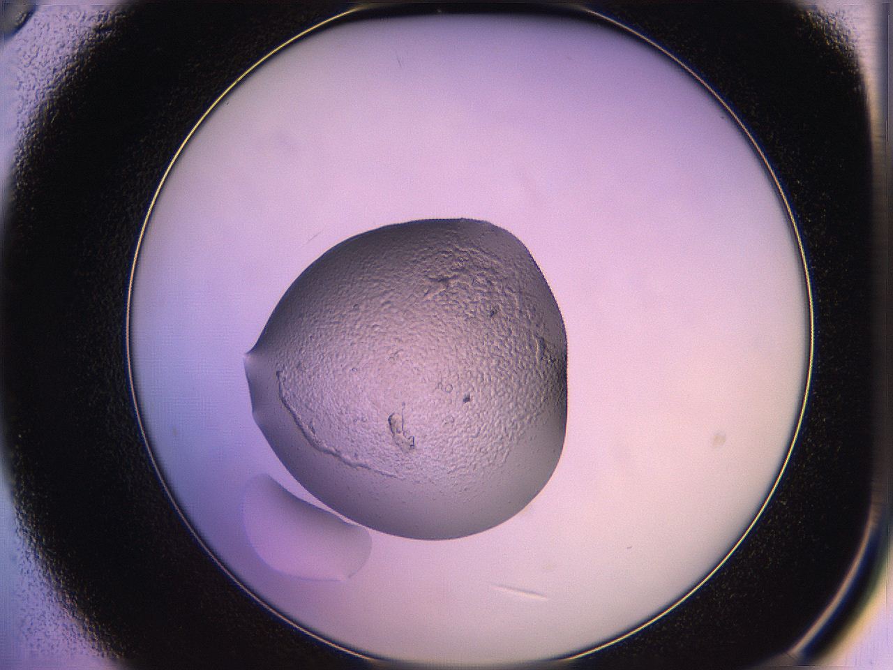 05qk_B9_ImagerDefaults_2.jpg