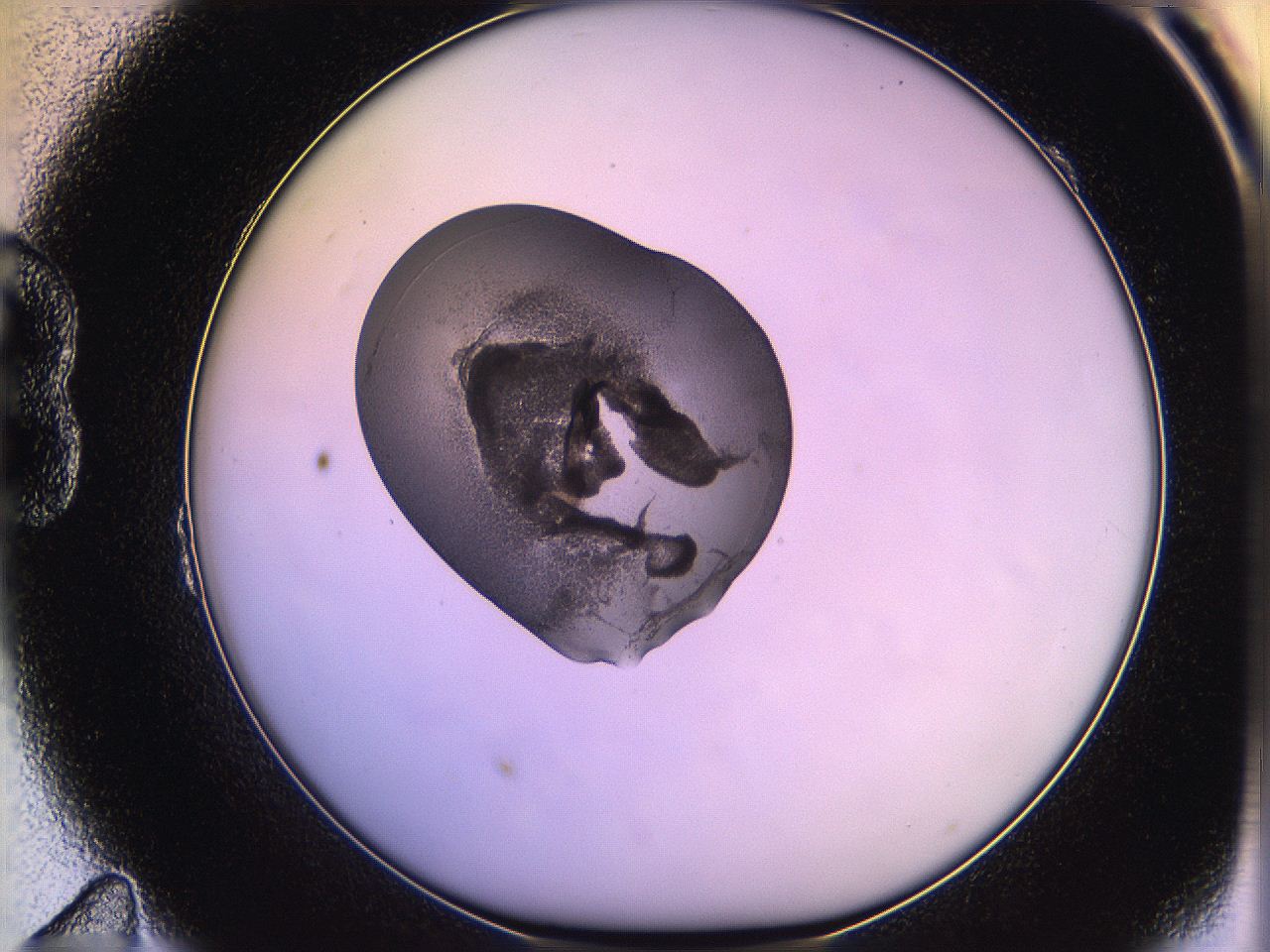 05qk_B11_ImagerDefaults_3.jpg
