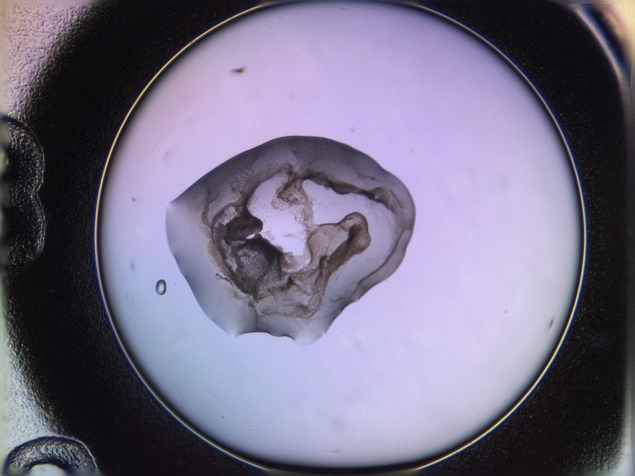 05qk_B12_ImagerDefaults_3.jpg
