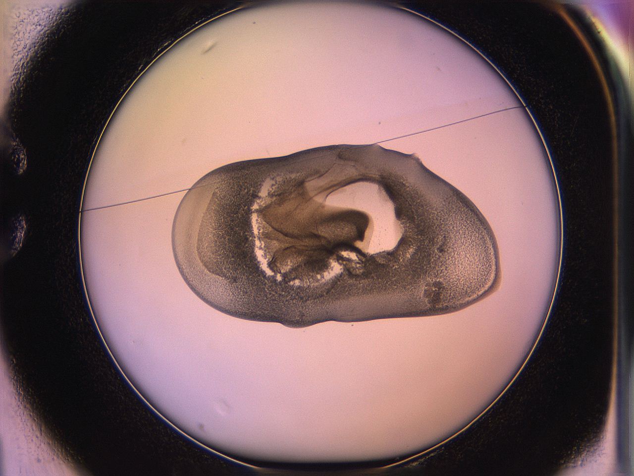 05qk_C1_ImagerDefaults_3.jpg