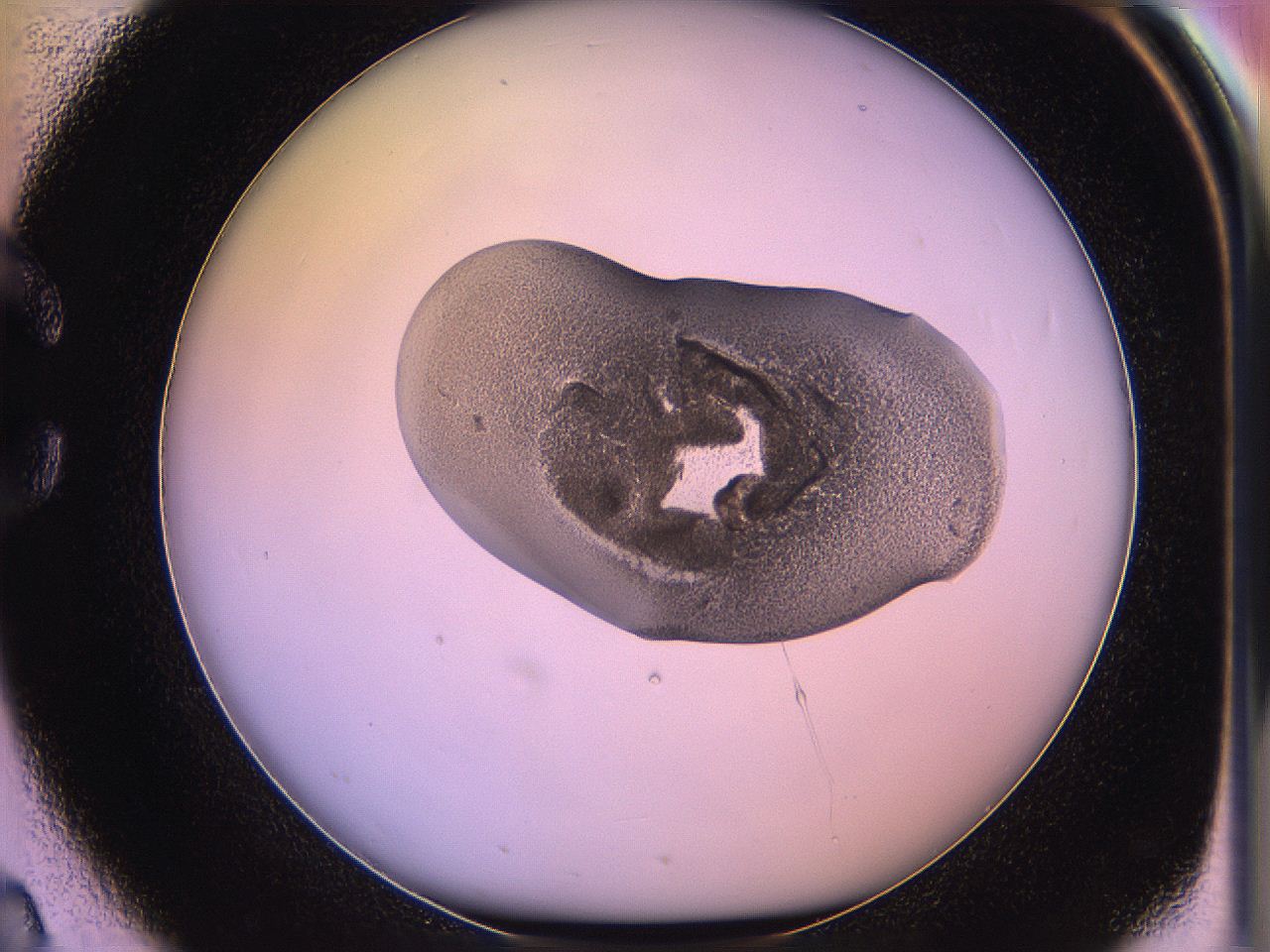 05qk_C2_ImagerDefaults_3.jpg