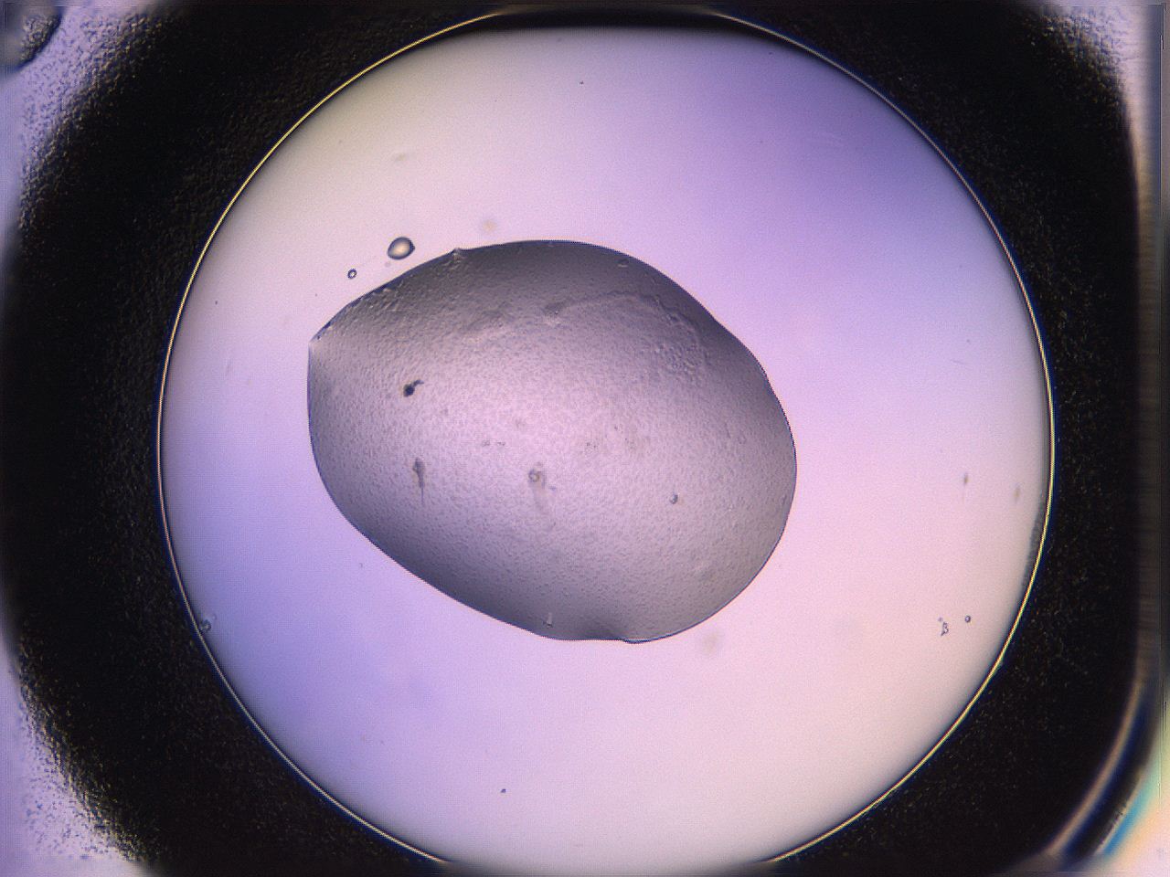 05qk_C6_ImagerDefaults_3.jpg