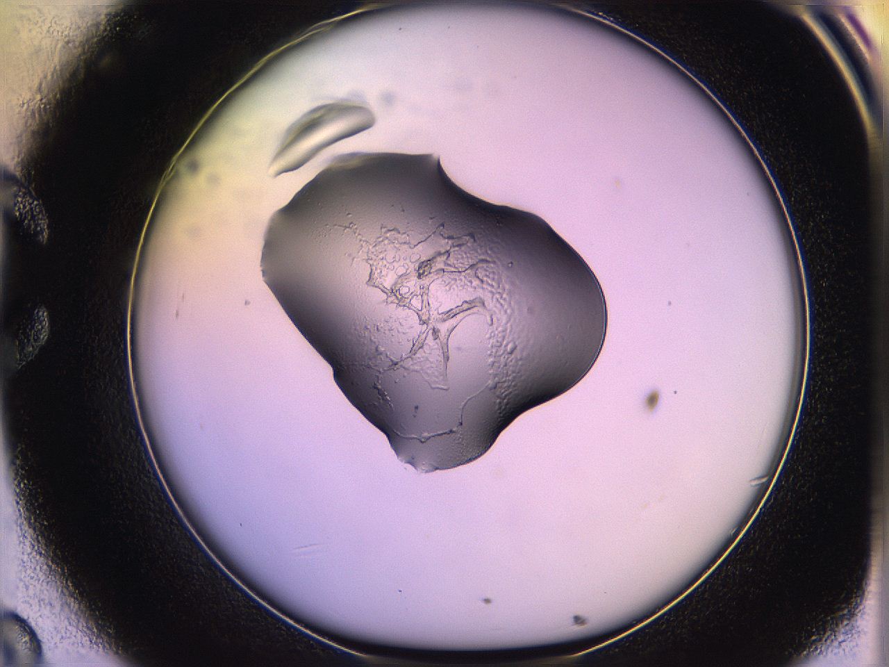 05qk_C8_ImagerDefaults_2.jpg