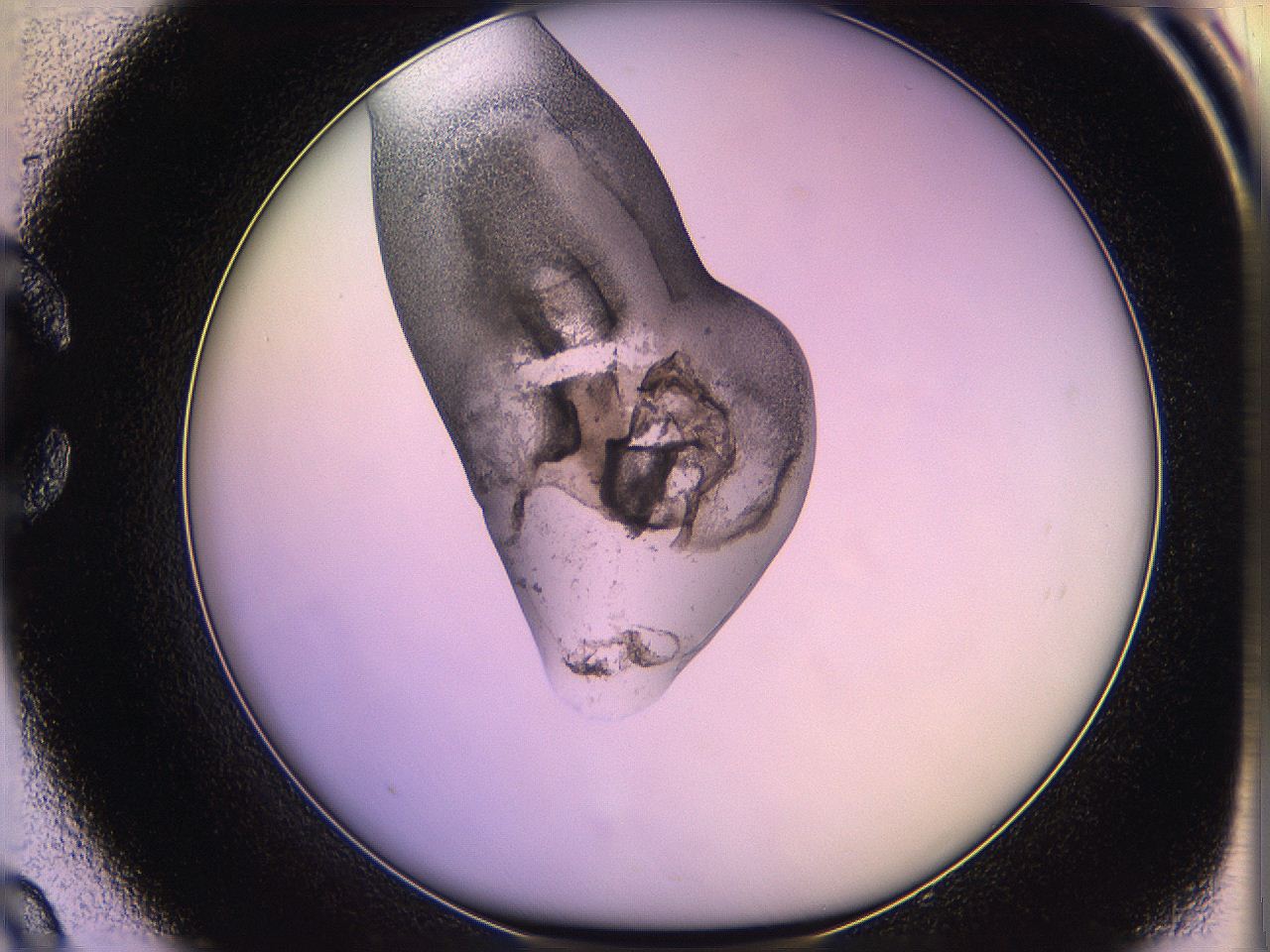 05qk_C9_ImagerDefaults_3.jpg