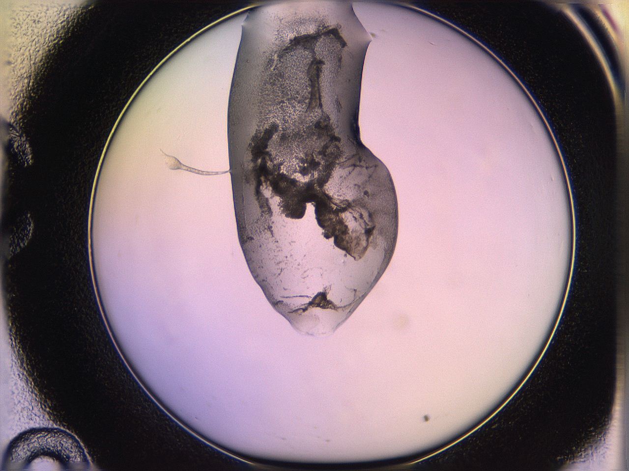 05qk_C10_ImagerDefaults_3.jpg
