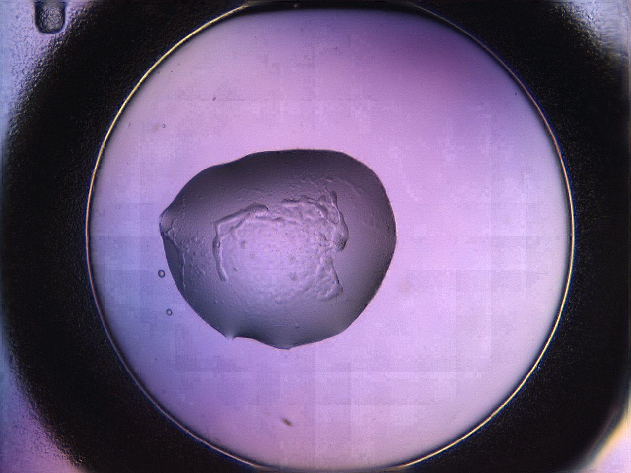 05qk_C11_ImagerDefaults_2.jpg