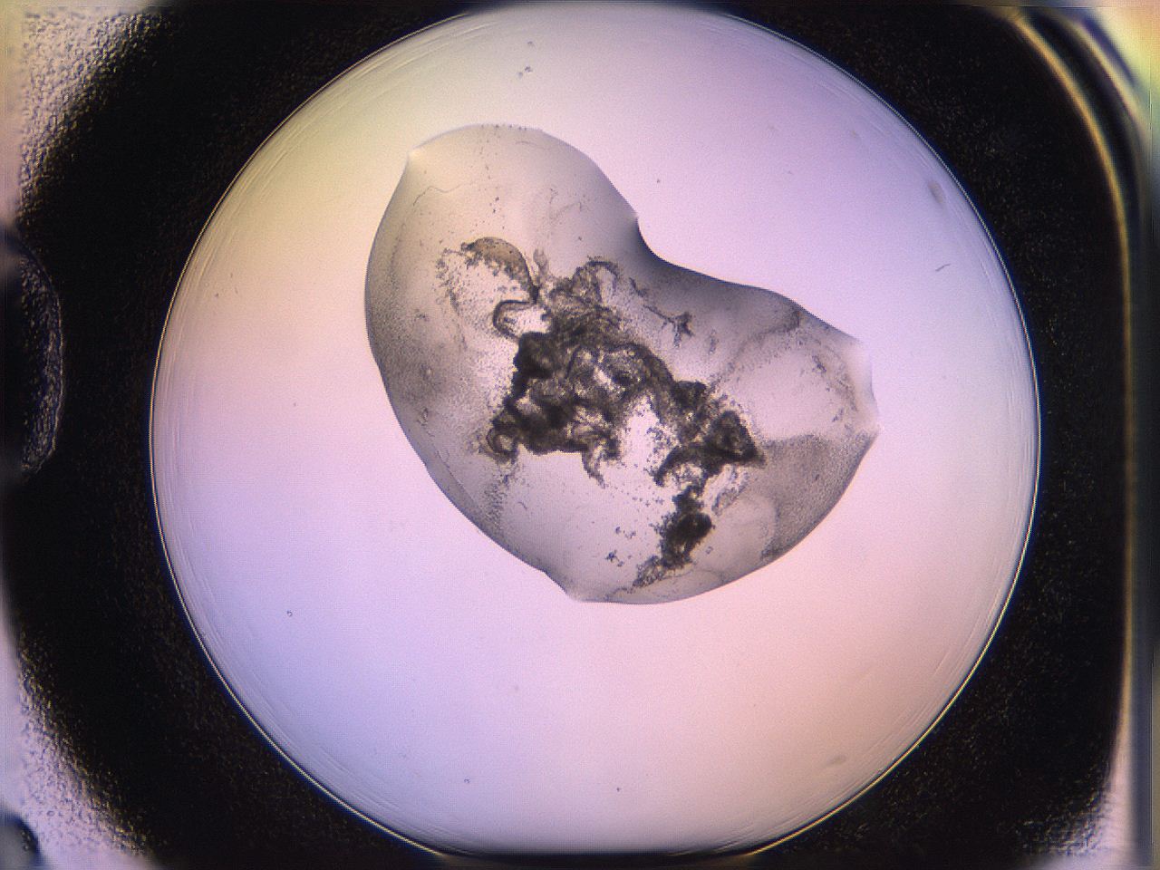 05qk_D3_ImagerDefaults_3.jpg