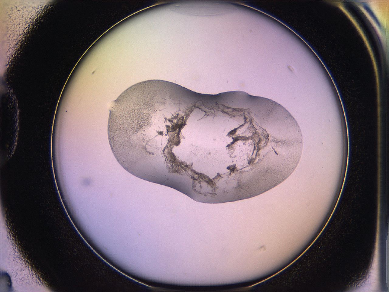 05qk_D4_ImagerDefaults_3.jpg