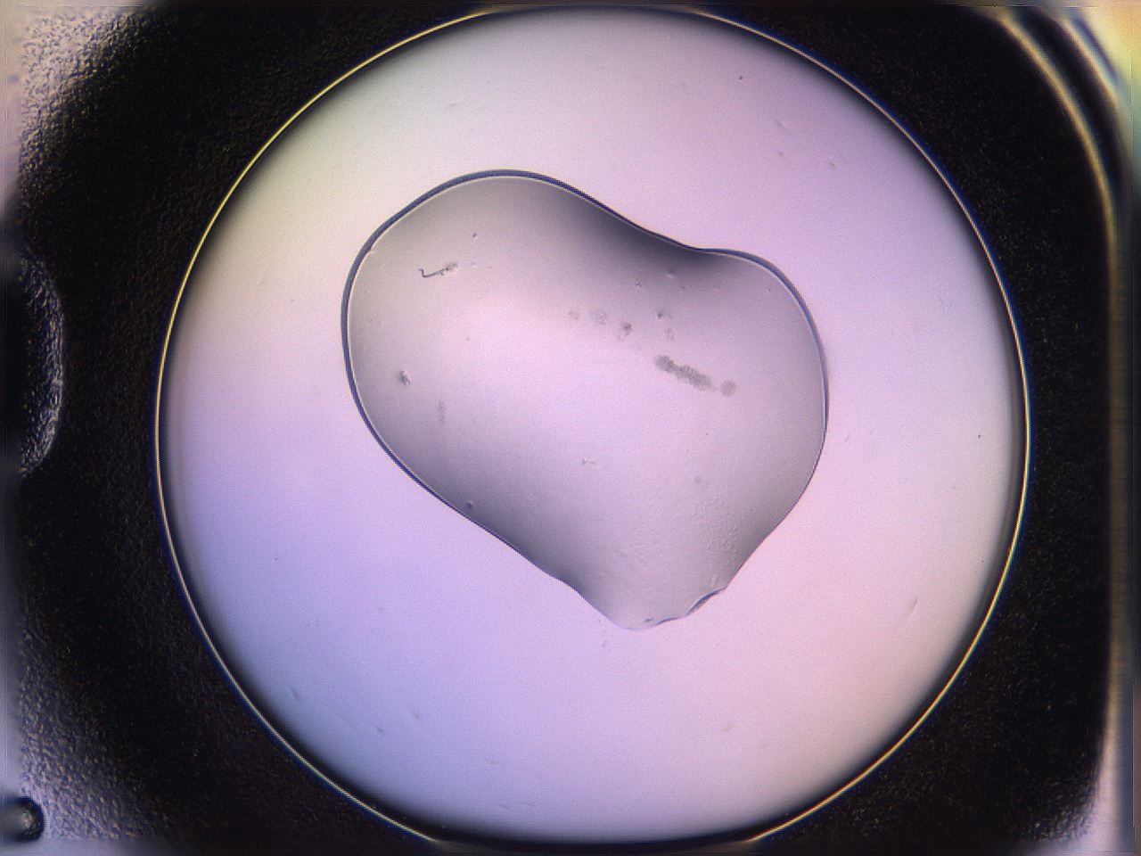 05qk_D5_ImagerDefaults_2.jpg