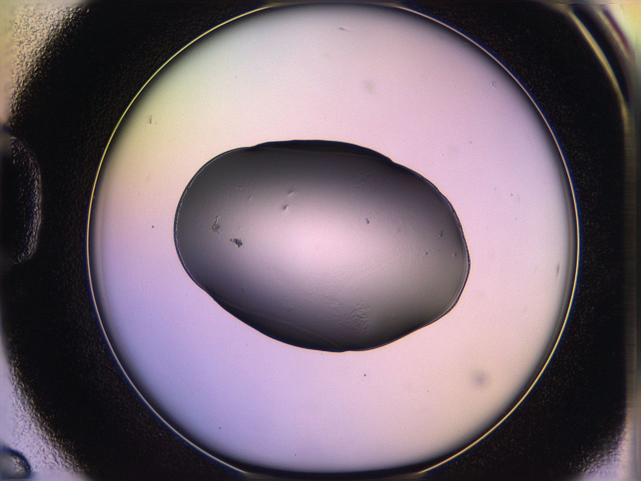 05qk_D6_ImagerDefaults_2.jpg