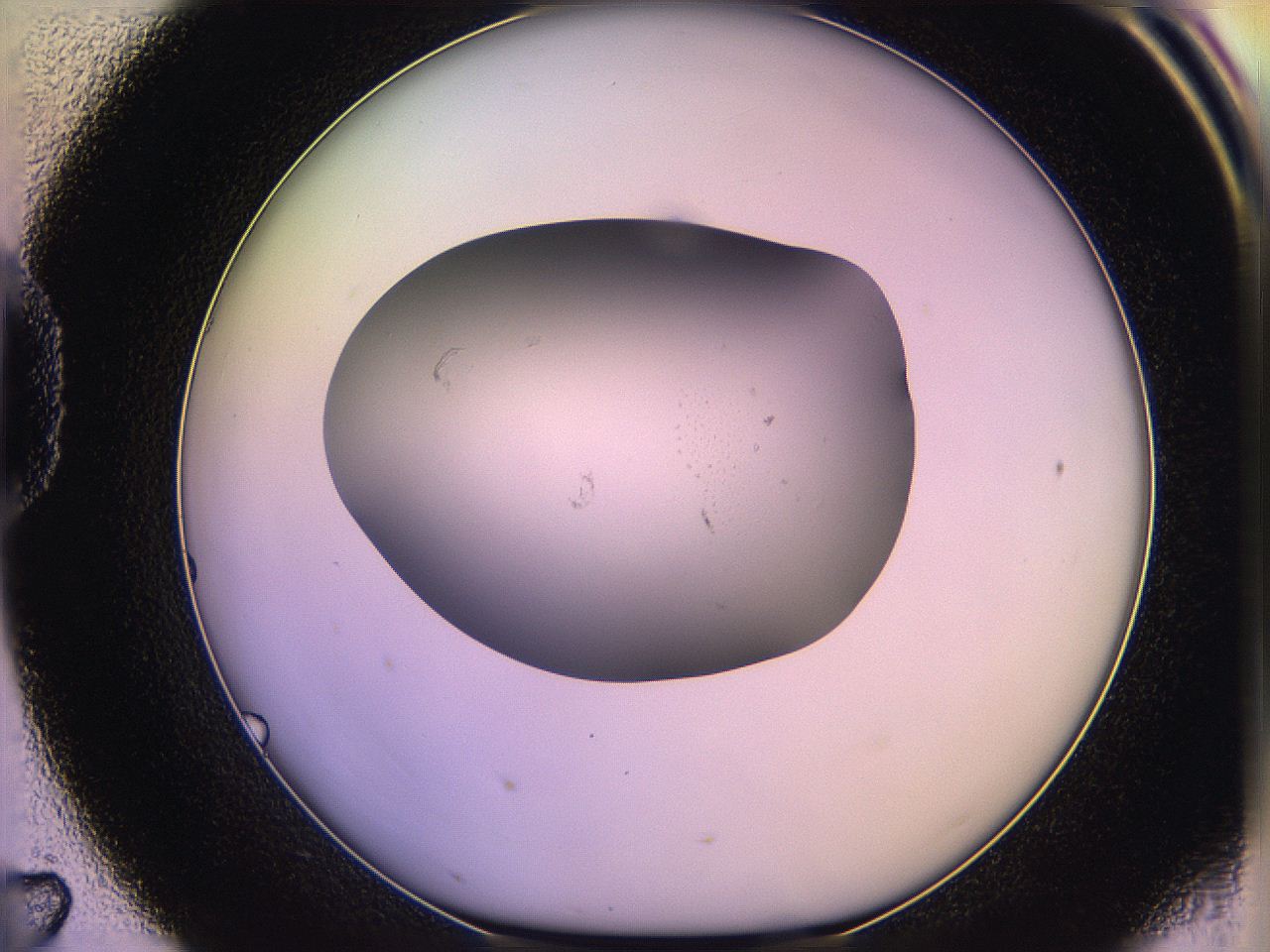 05qk_D7_ImagerDefaults_1.jpg