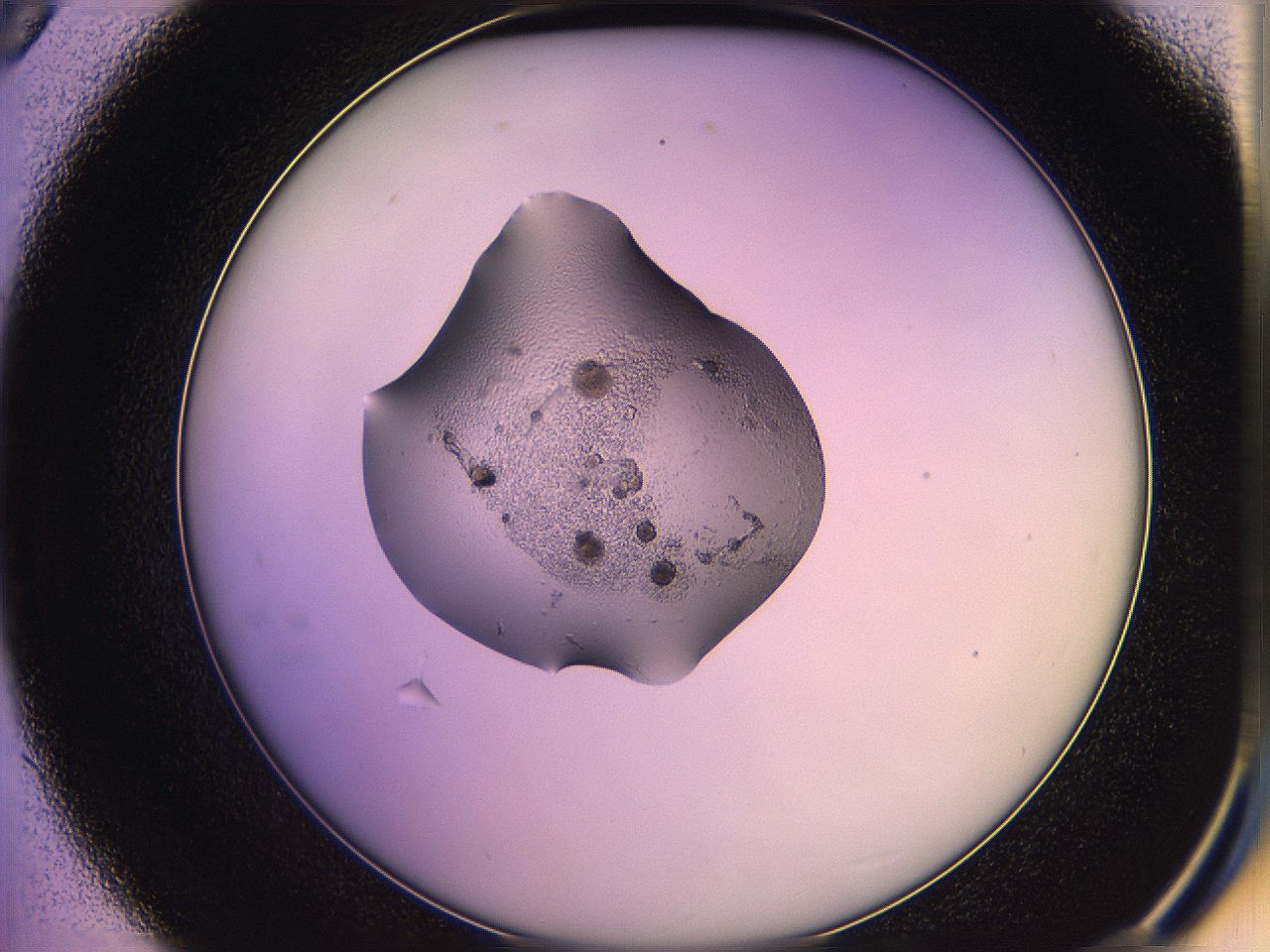 05qk_D9_ImagerDefaults_3.jpg