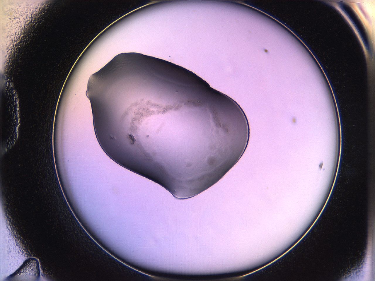 05qk_D11_ImagerDefaults_3.jpg