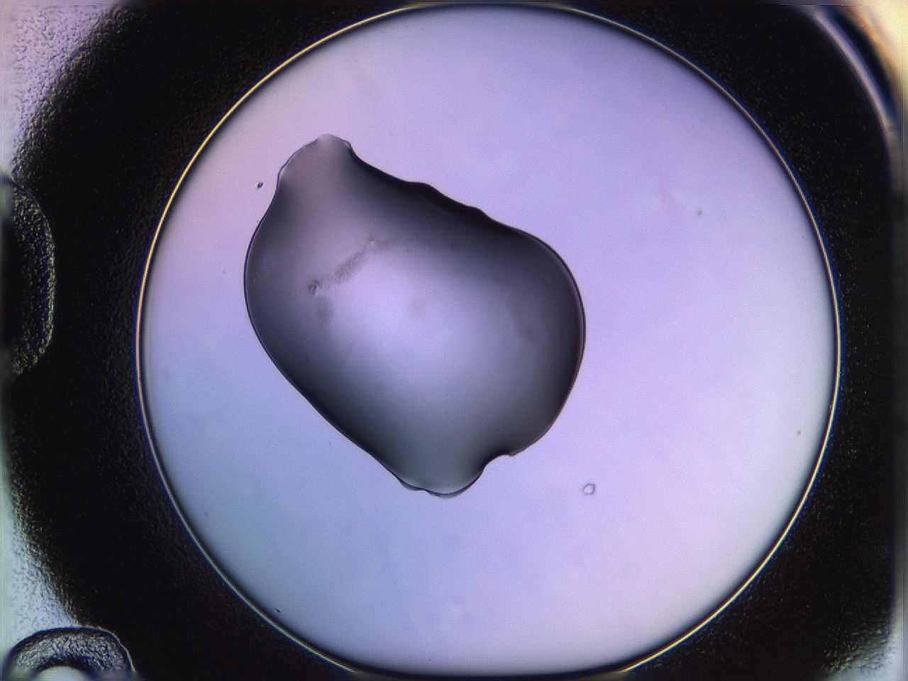 05qk_D12_ImagerDefaults_2.jpg