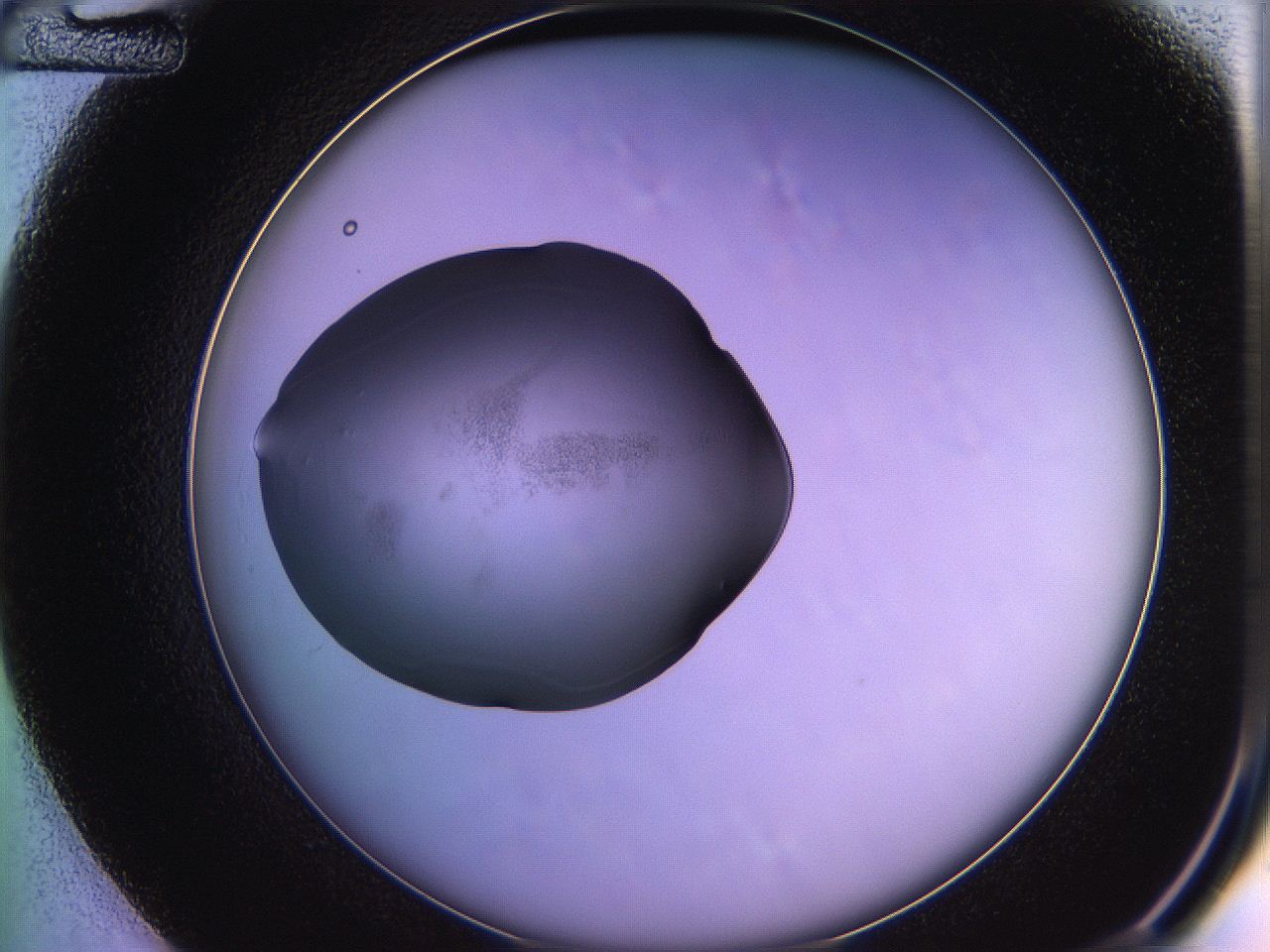 05qk_D12_ImagerDefaults_3.jpg
