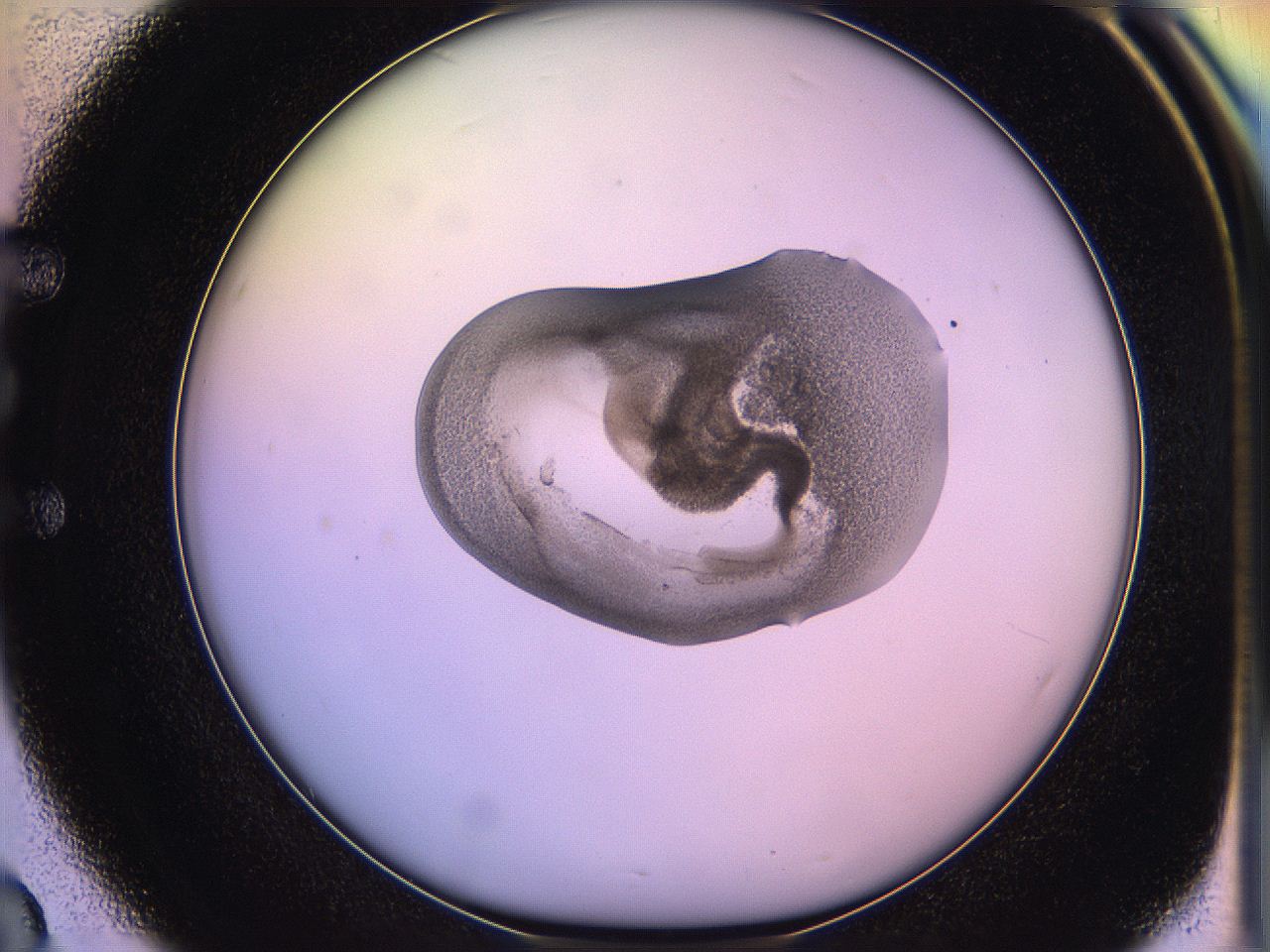 05qk_E3_ImagerDefaults_3.jpg