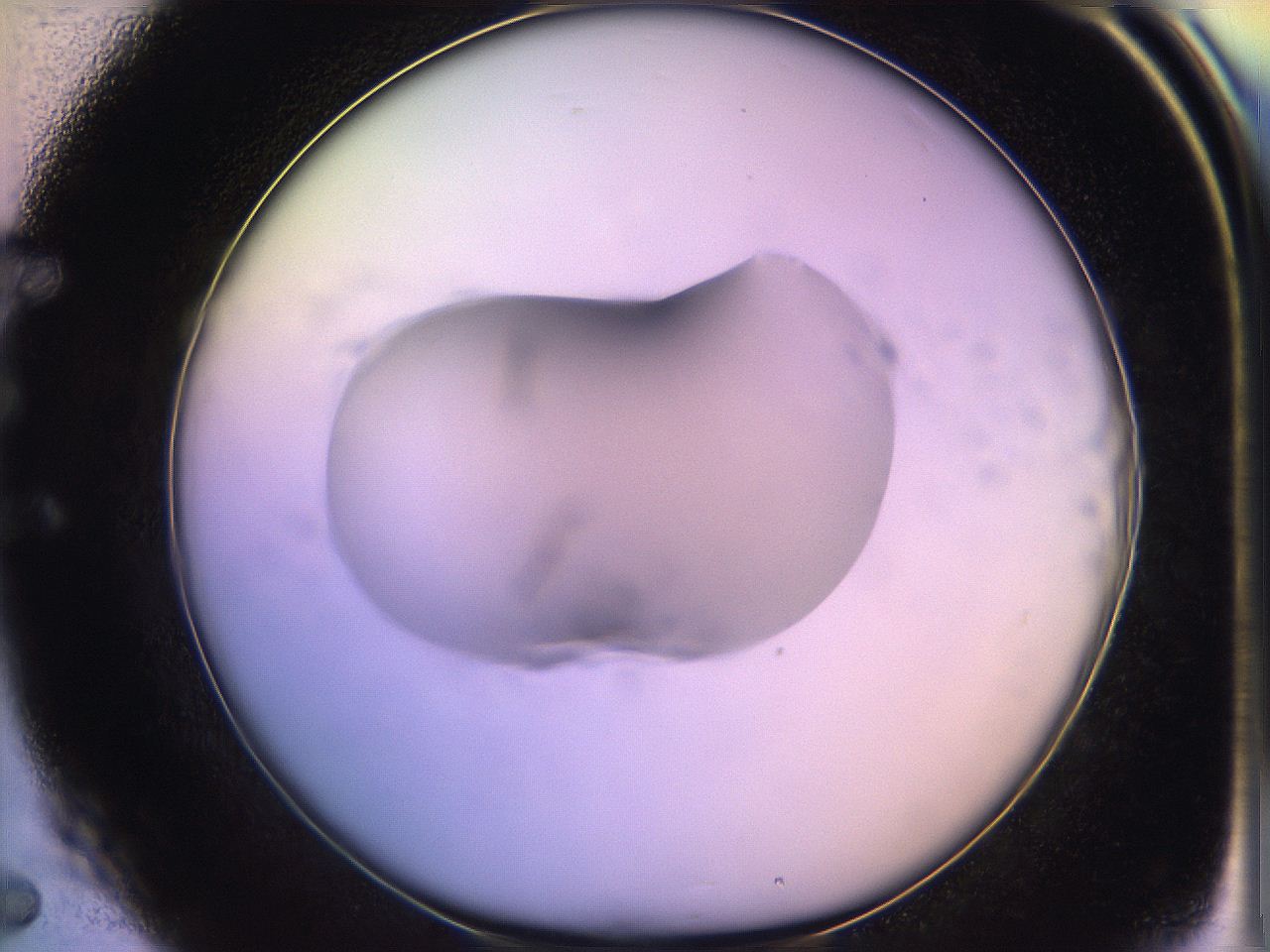 05qk_E5_ImagerDefaults_1.jpg