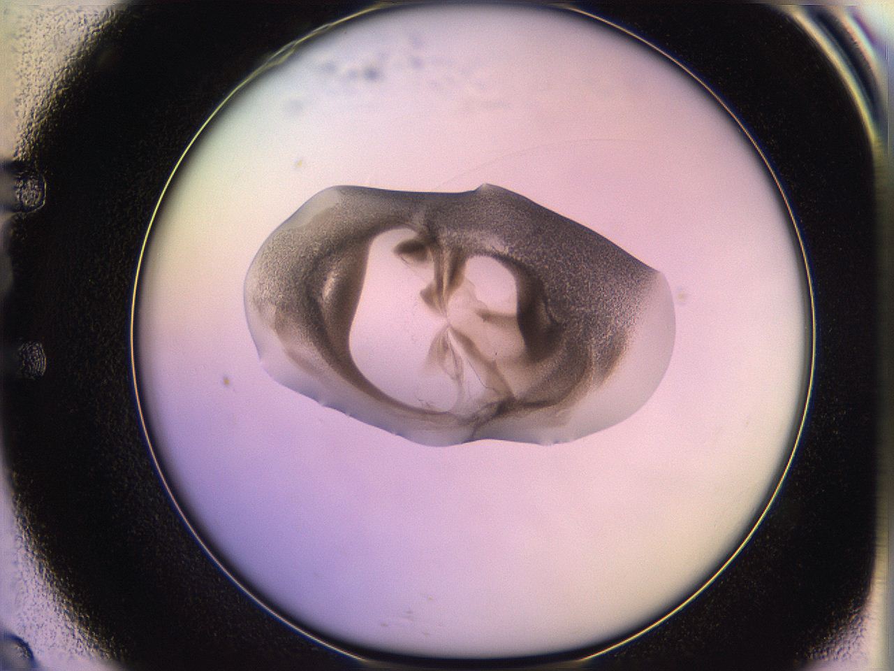 05qk_E9_ImagerDefaults_3.jpg