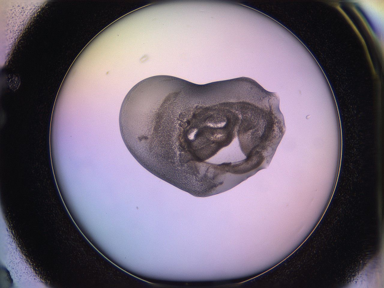 05qk_F3_ImagerDefaults_3.jpg