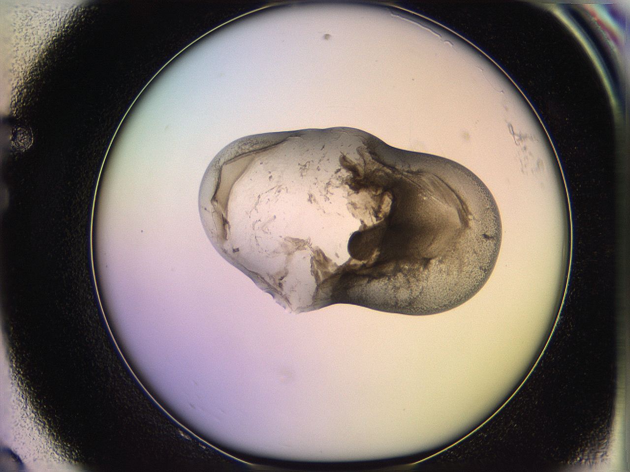 05qk_F8_ImagerDefaults_3.jpg