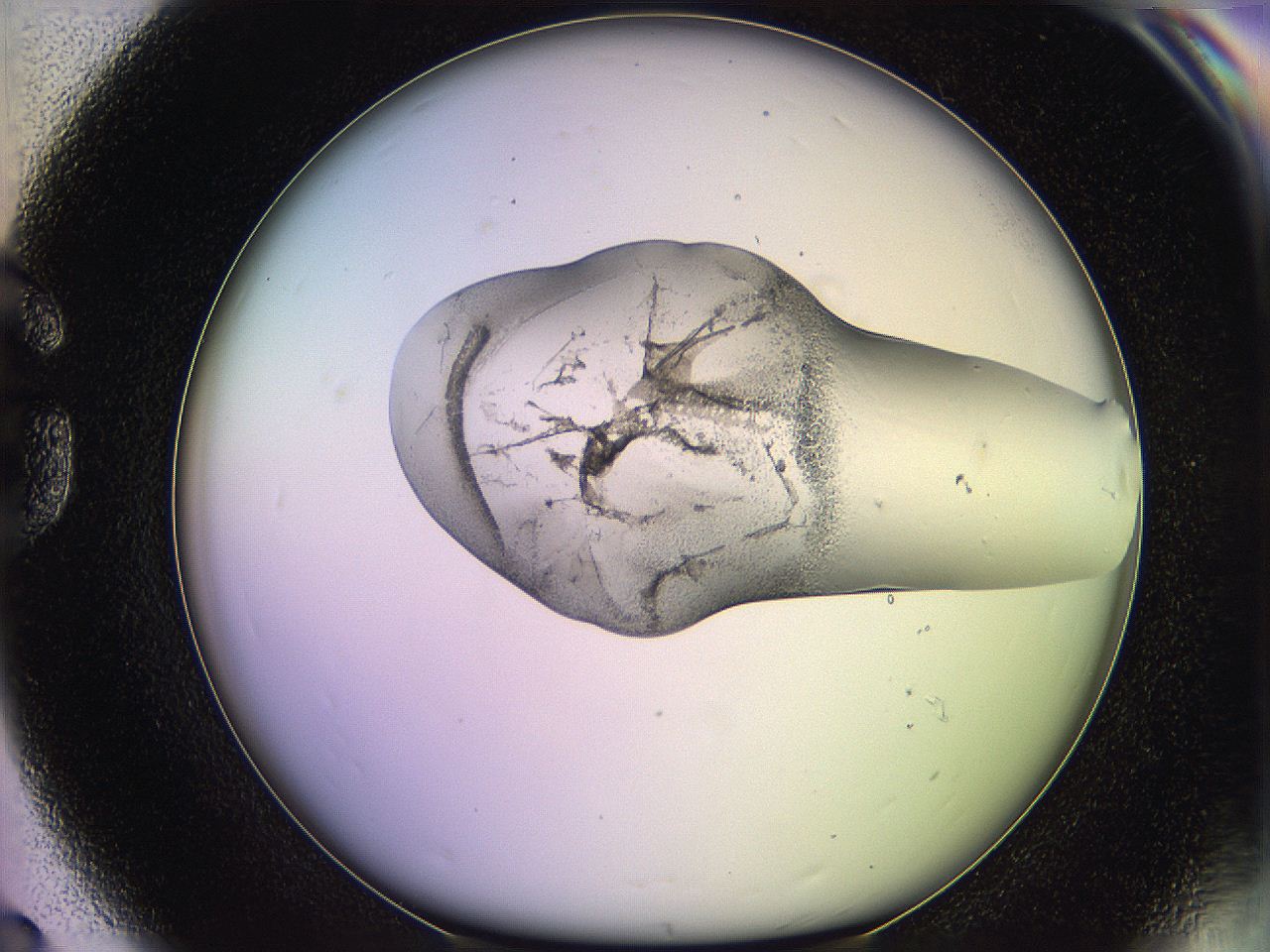 05qk_G8_ImagerDefaults_3.jpg