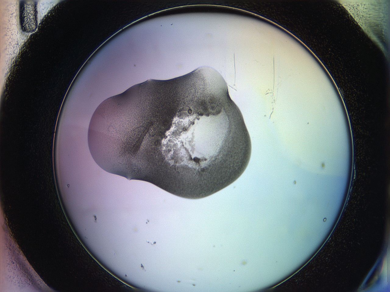 05qk_H11_ImagerDefaults_3.jpg
