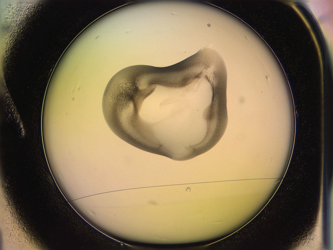 05ql_A1_ImagerDefaults_3.jpg