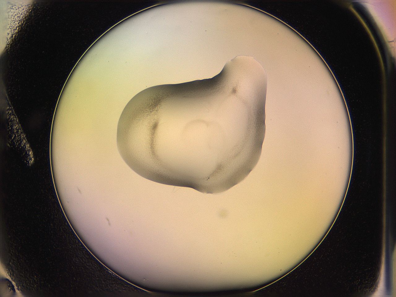 05ql_A2_ImagerDefaults_3.jpg