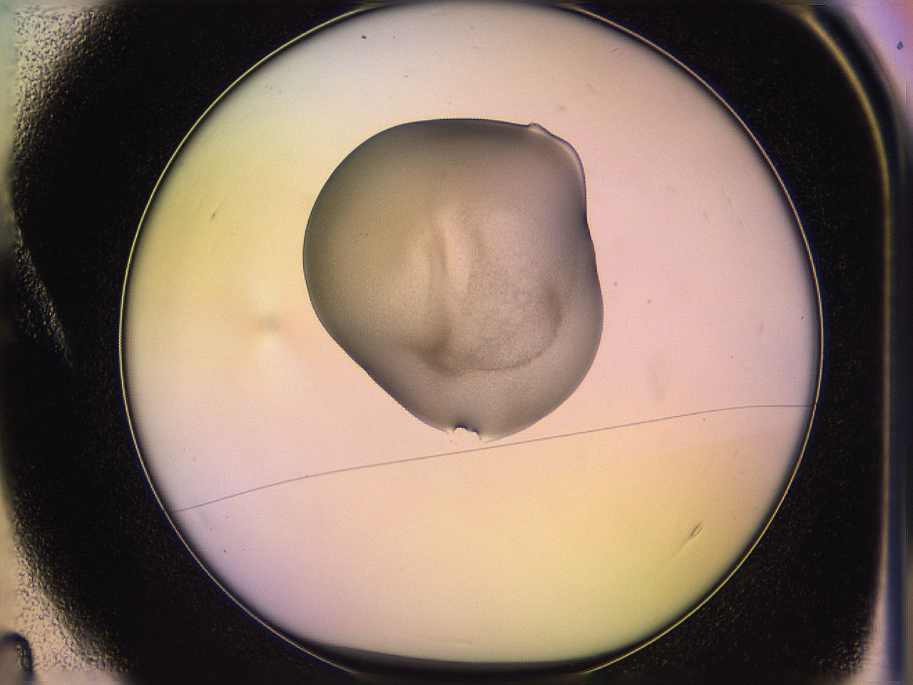 05ql_A4_ImagerDefaults_3.jpg