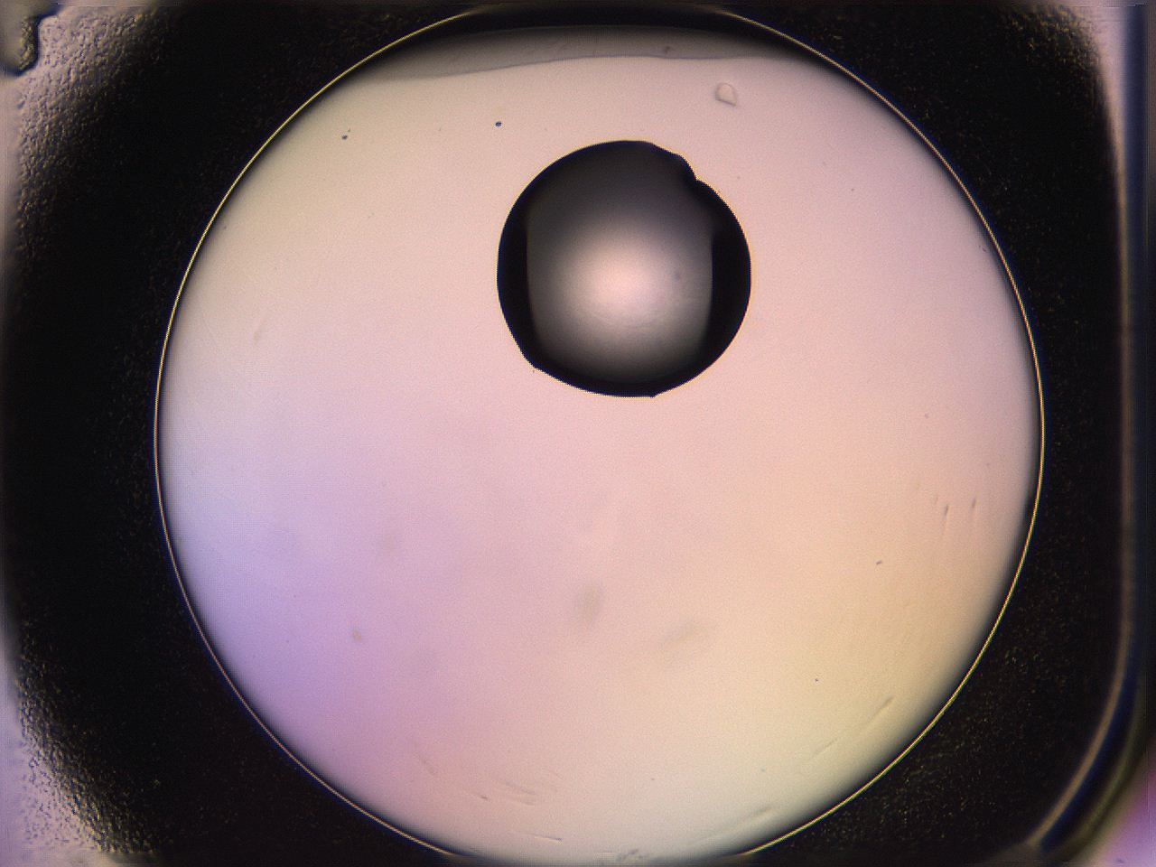 05ql_A4_ImagerDefaults_1.jpg