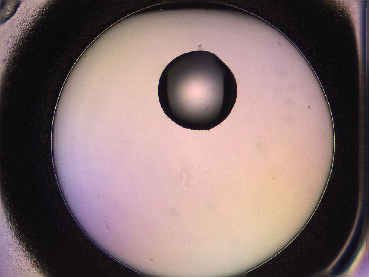 05ql_A5_ImagerDefaults_1.jpg