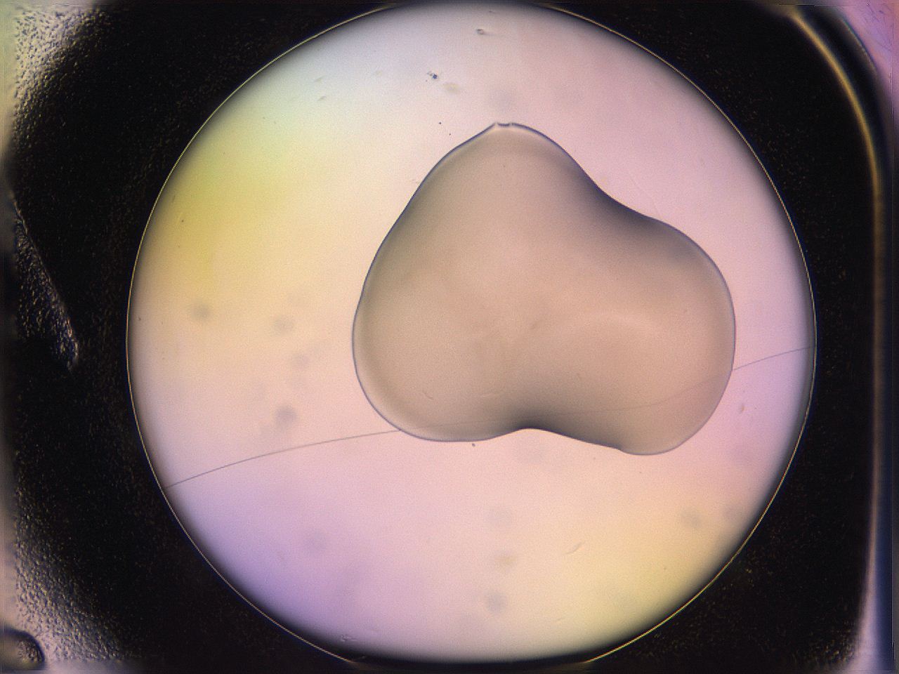 05ql_A6_ImagerDefaults_1.jpg