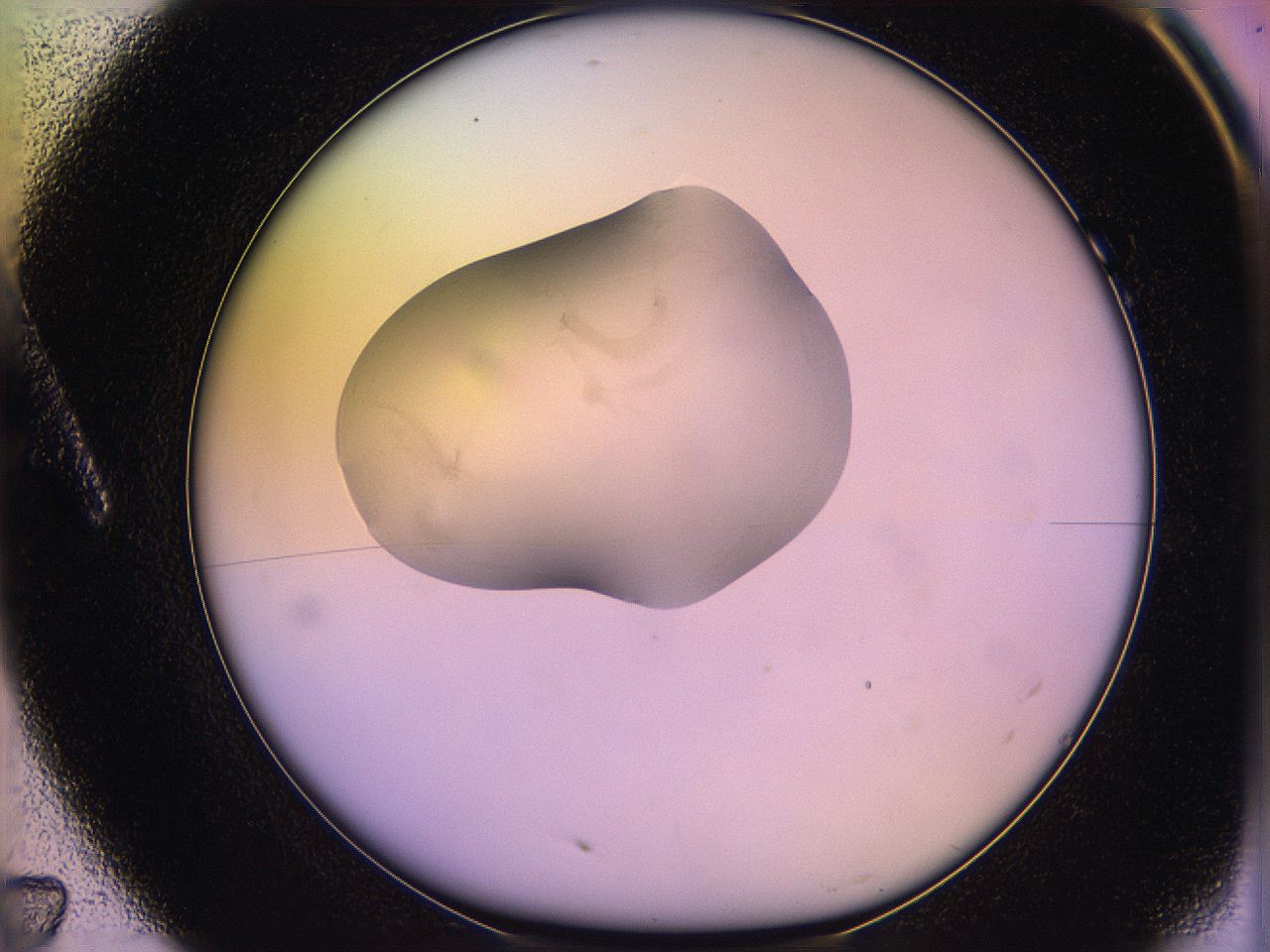 05ql_A7_ImagerDefaults_1.jpg