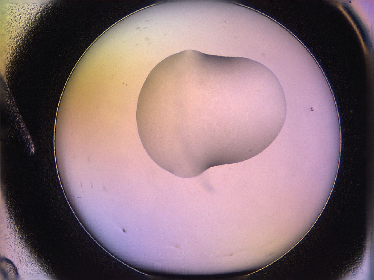 05ql_A8_ImagerDefaults_1.jpg