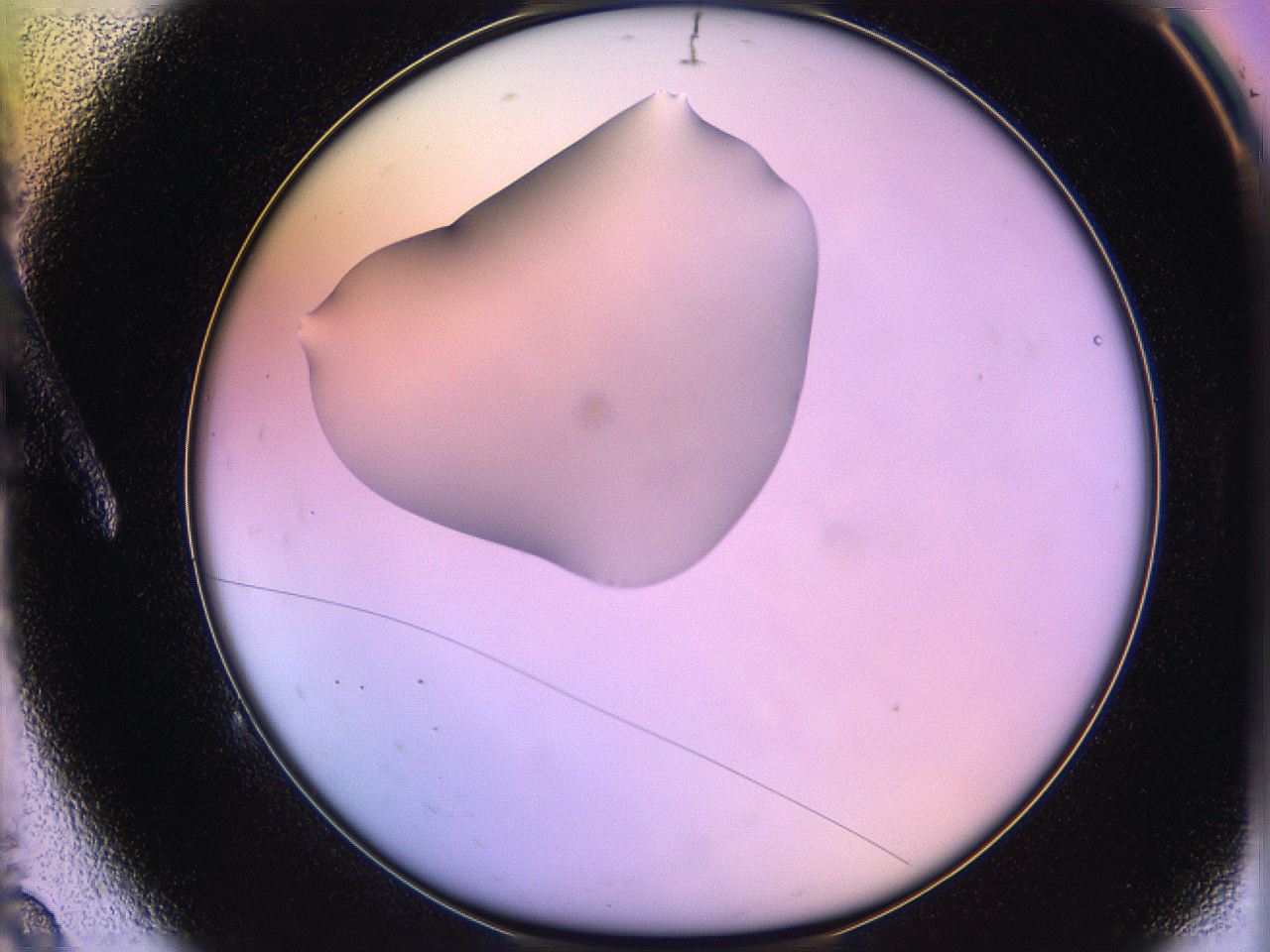 05ql_A9_ImagerDefaults_1.jpg