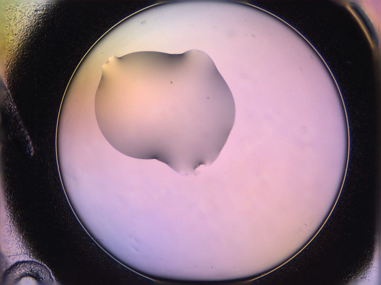 05ql_A10_ImagerDefaults_1.jpg