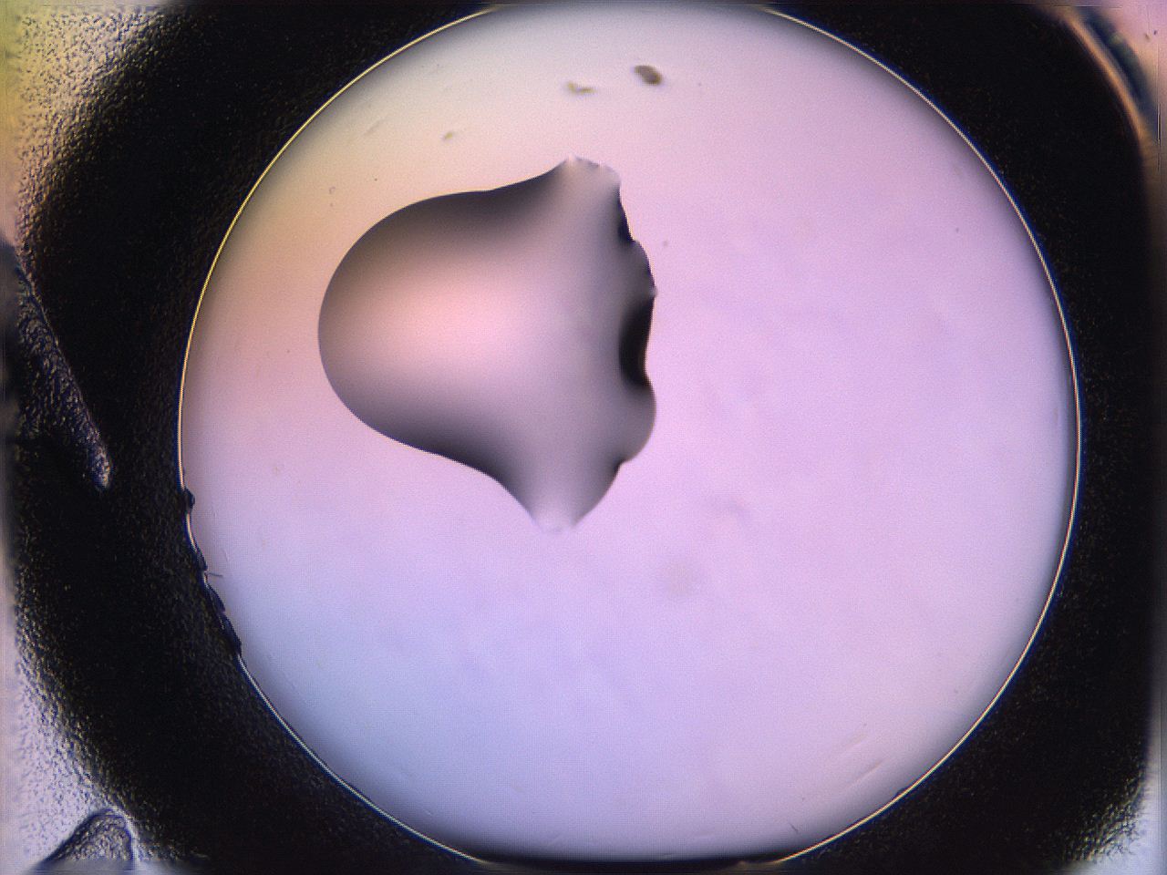 05ql_A11_ImagerDefaults_1.jpg