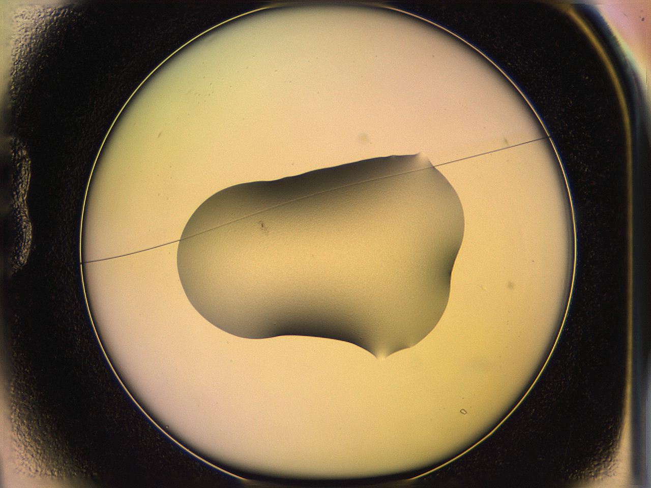 05ql_B1_ImagerDefaults_2.jpg