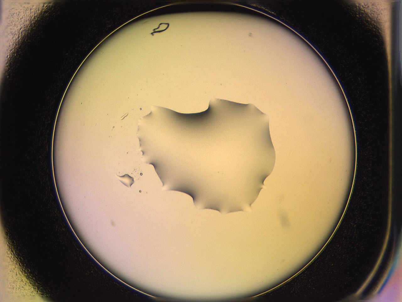 05ql_B1_ImagerDefaults_1.jpg