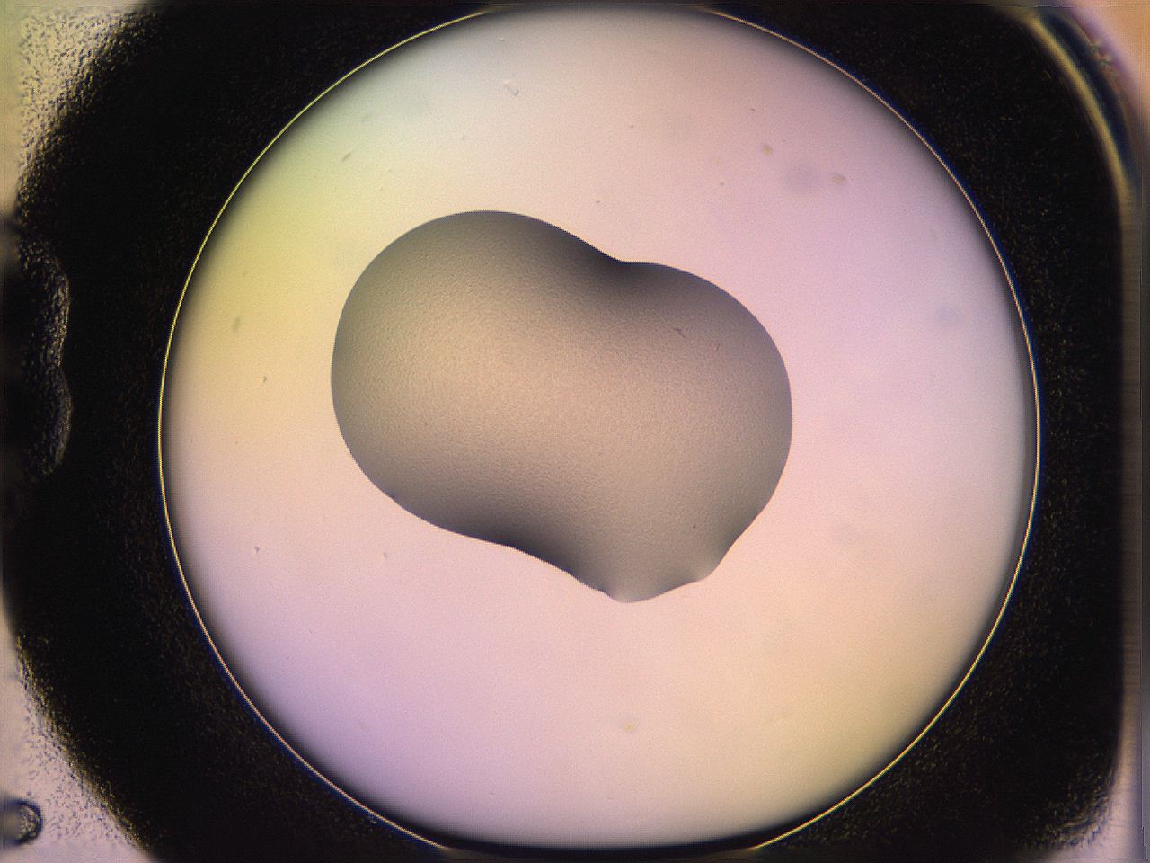 05ql_B5_ImagerDefaults_3.jpg