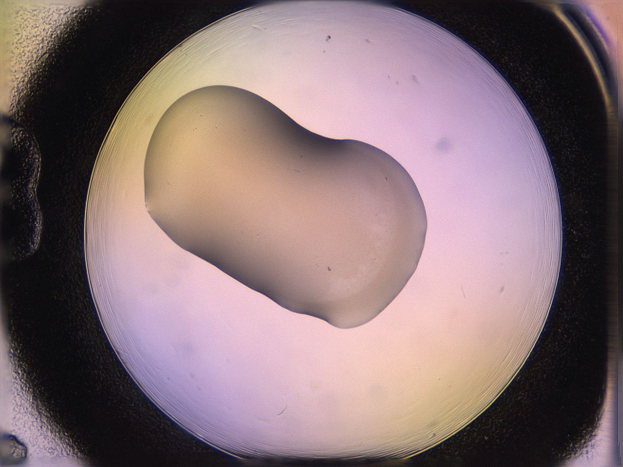 05ql_B6_ImagerDefaults_3.jpg