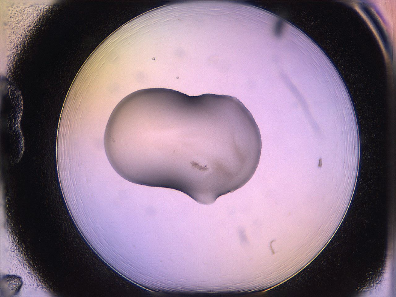05ql_B7_ImagerDefaults_3.jpg