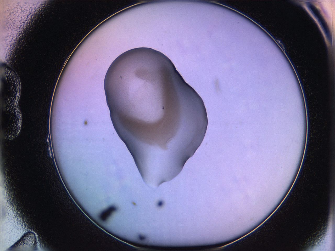 05ql_B11_ImagerDefaults_3.jpg
