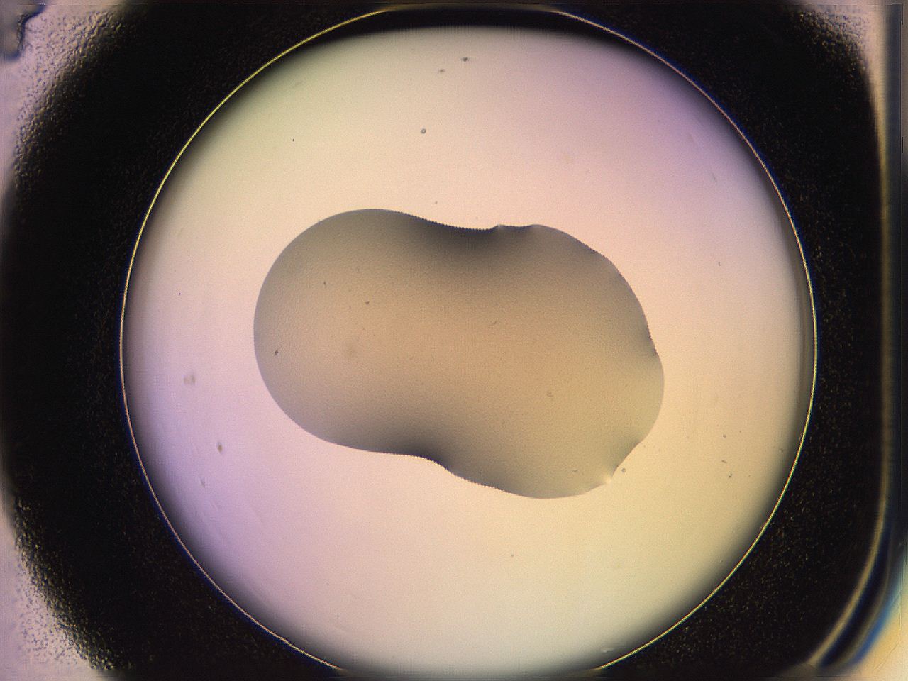 05ql_C4_ImagerDefaults_3.jpg
