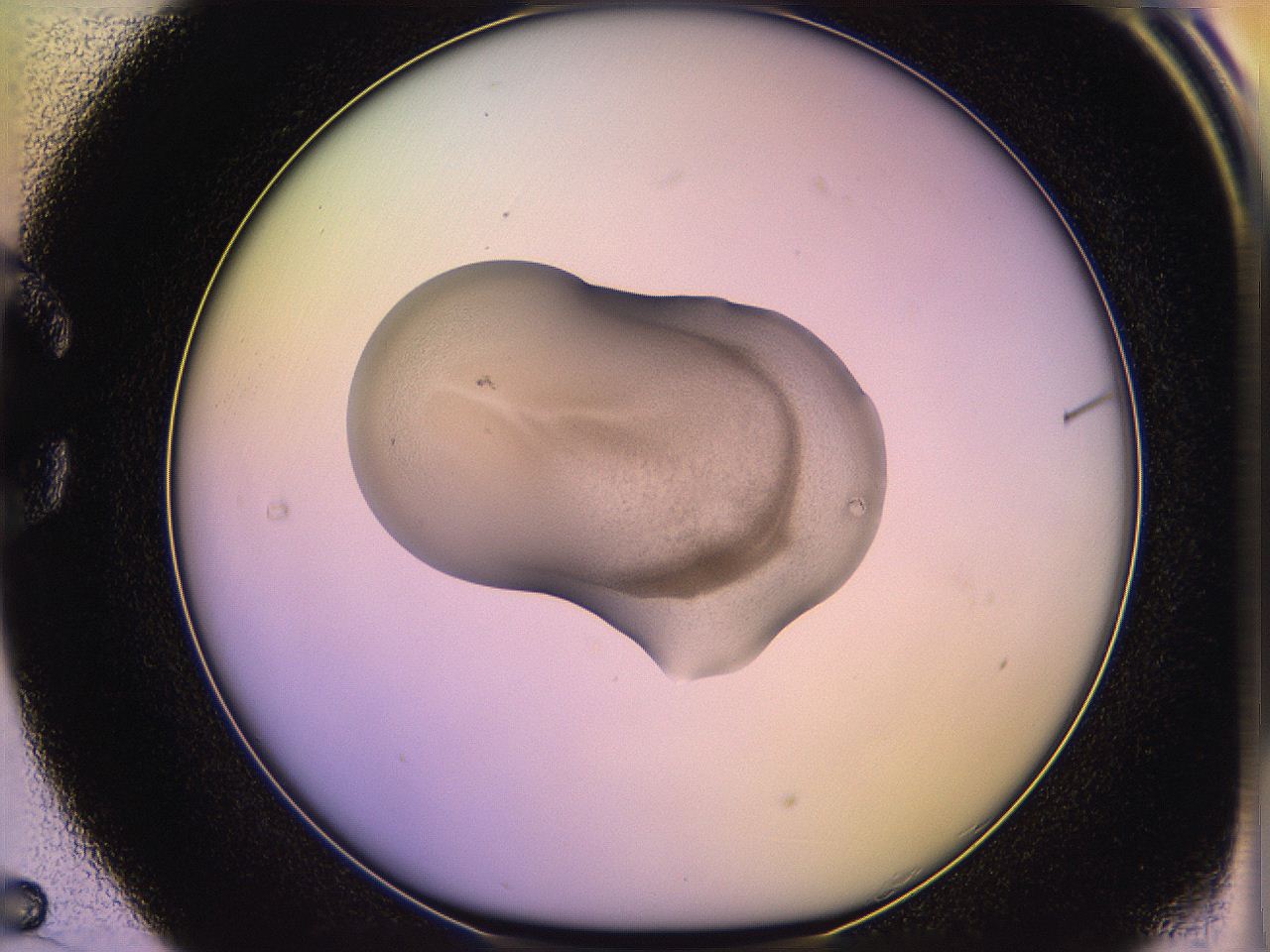 05ql_C5_ImagerDefaults_3.jpg