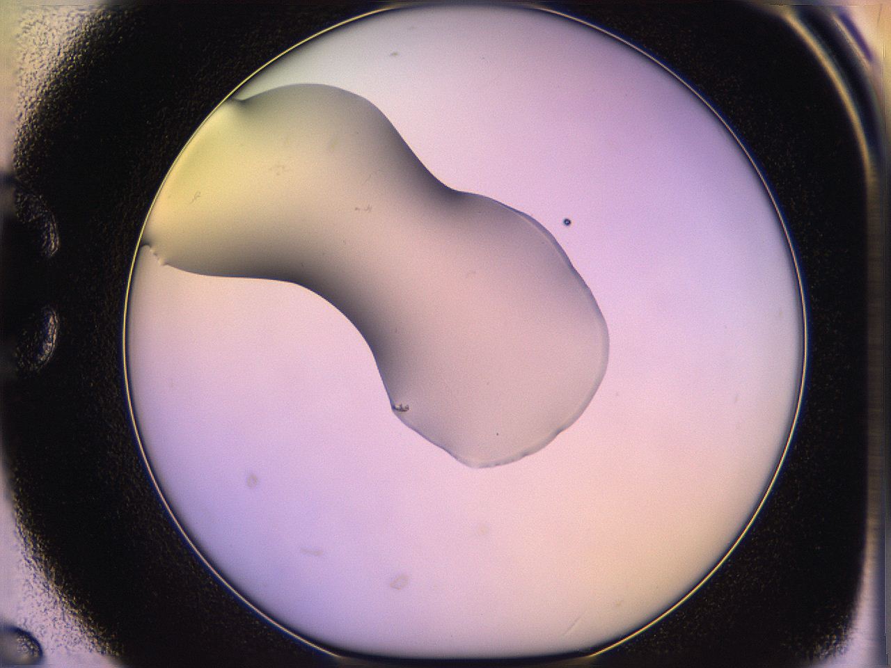 05ql_C6_ImagerDefaults_1.jpg