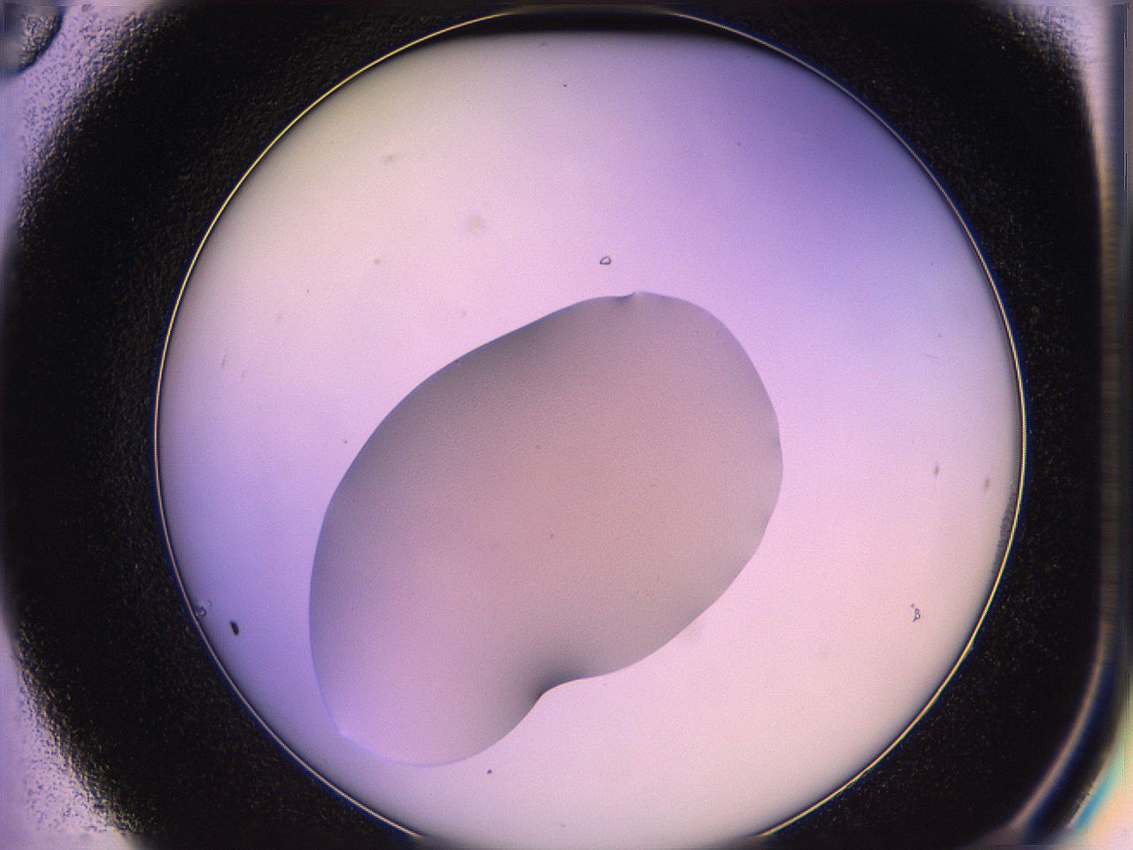 05ql_C6_ImagerDefaults_3.jpg