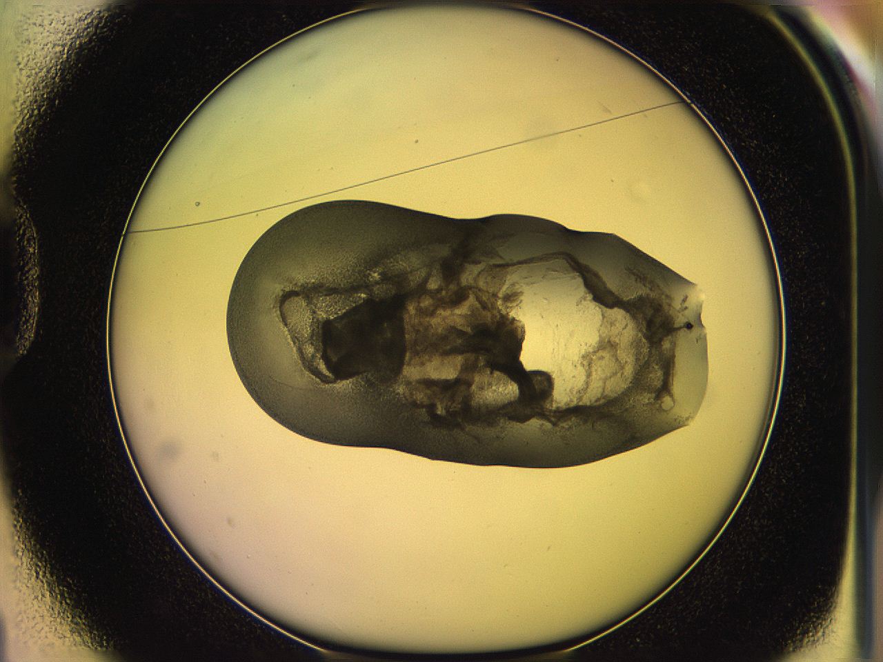 05ql_D1_ImagerDefaults_3.jpg